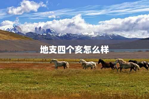 地支四个亥怎么样