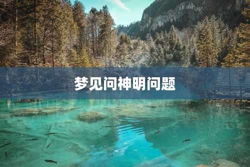 梦见问神明问题