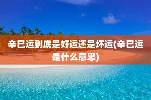 辛巳运到底是好运还是坏运(辛巳运是什么意思)