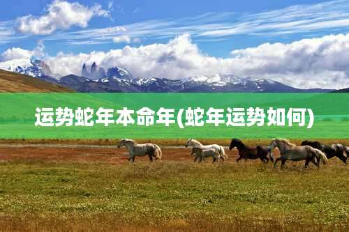 运势蛇年本命年(蛇年运势如何)