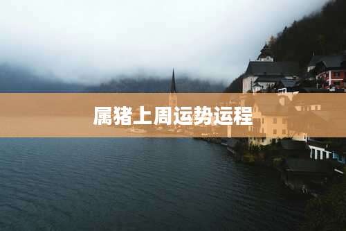 属猪上周运势运程