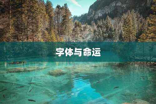 字体与命运
