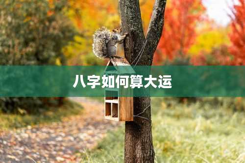 八字如何算大运