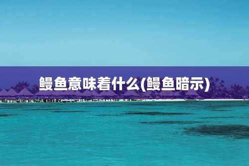 鳗鱼意味着什么(鳗鱼暗示)