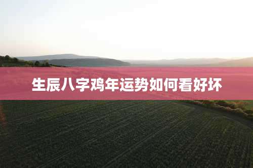 生辰八字鸡年运势如何看好坏