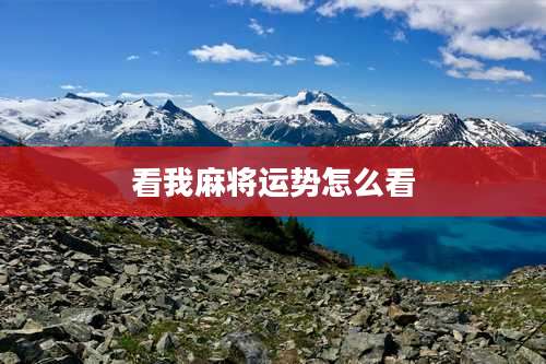 看我麻将运势怎么看