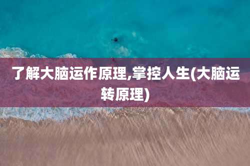 了解大脑运作原理,掌控人生(大脑运转原理)
