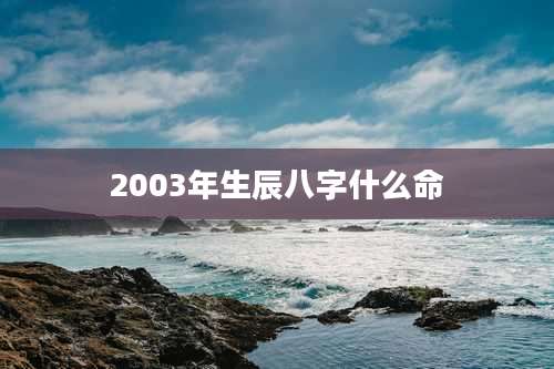 2003年生辰八字什么命