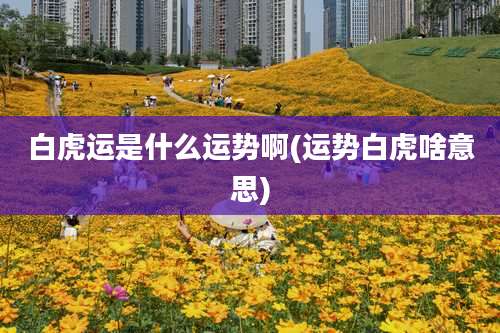 白虎运是什么运势啊(运势白虎啥意思)