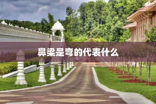 鼻梁是弯的代表什么