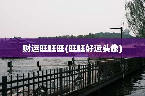 财运旺旺旺(旺旺好运头像)