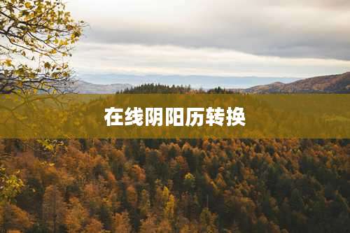 在线阴阳历转换