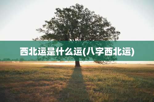 西北运是什么运(八字西北运)