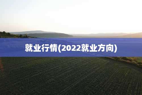 就业行情(2022就业方向)