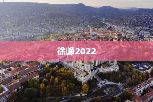 徐峥2022
