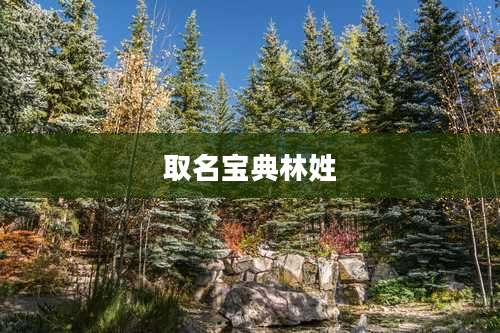 取名宝典林姓