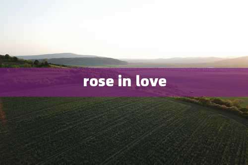 rose in love
