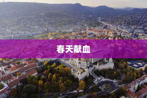 春天献血