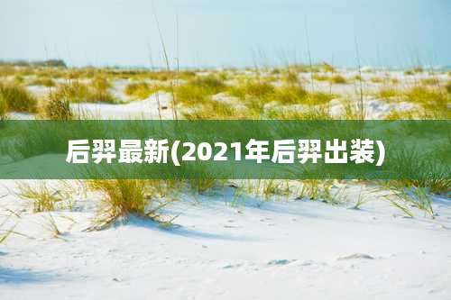 后羿最新(2021年后羿出装)