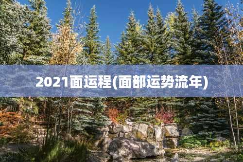 2021面运程(面部运势流年)