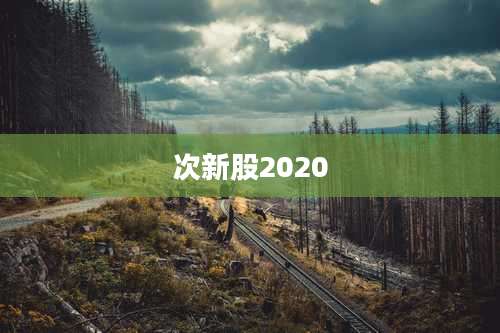 次新股2020