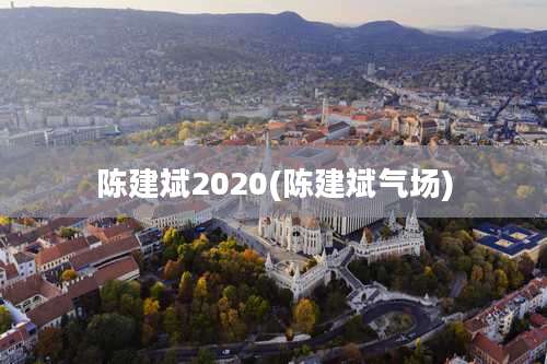 陈建斌2020(陈建斌气场)