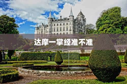 达摩一掌经准不准