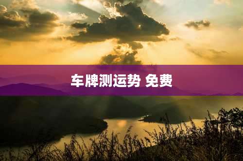 车牌测运势 免费