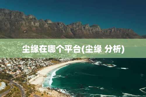 尘缘在哪个平台(尘缘 分析)