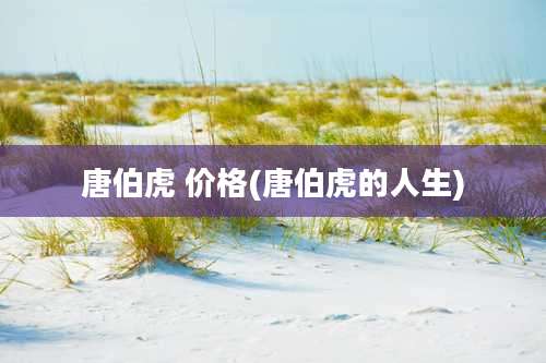 唐伯虎 价格(唐伯虎的人生)