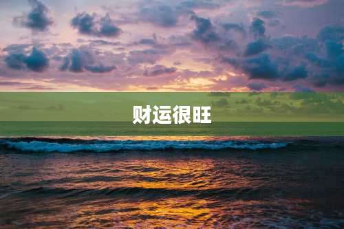 财运很旺