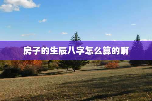 房子的生辰八字怎么算的啊