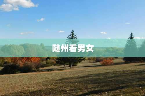 随州看男女