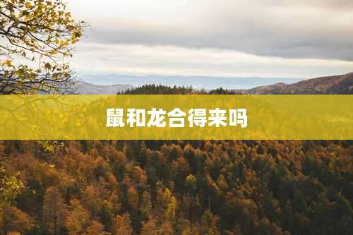 鼠和龙合得来吗