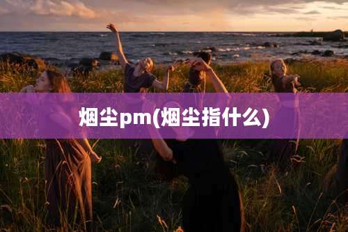 烟尘pm(烟尘指什么)