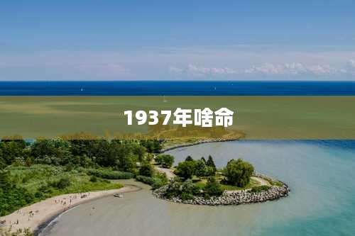 1937年啥命