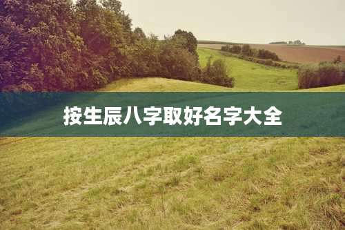 按生辰八字取好名字大全