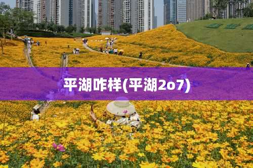 平湖咋样(平湖2o7)