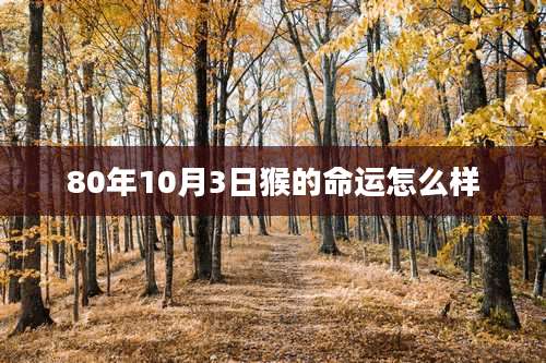 80年10月3日猴的命运怎么样
