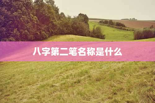 八字第二笔名称是什么