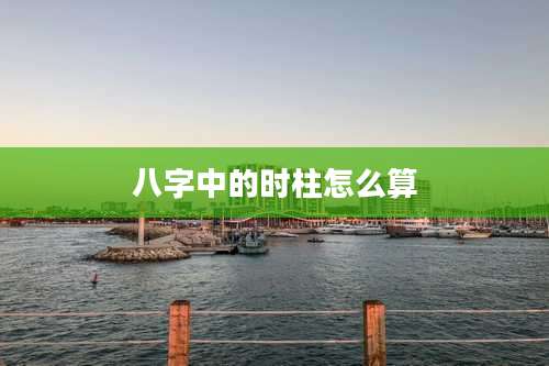 八字中的时柱怎么算