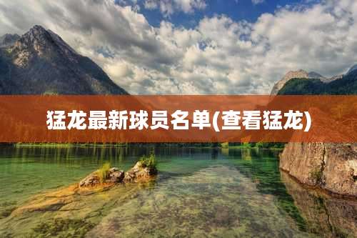 猛龙最新球员名单(查看猛龙)