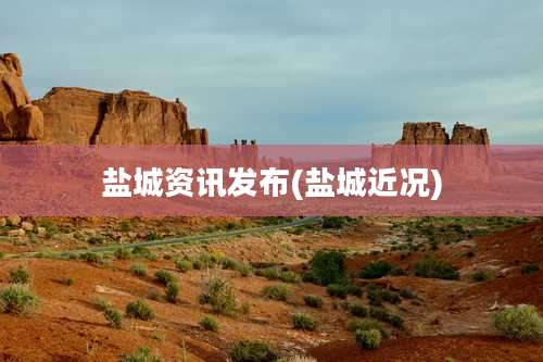 盐城资讯发布(盐城近况)