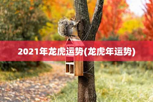 2021年龙虎运势(龙虎年运势)