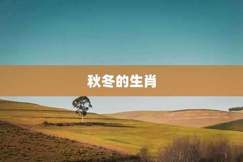 秋冬的生肖