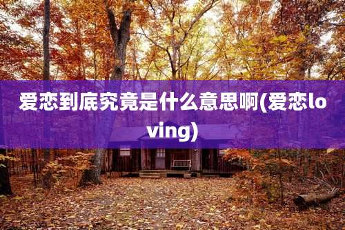 爱恋到底究竟是什么意思啊(爱恋loving)