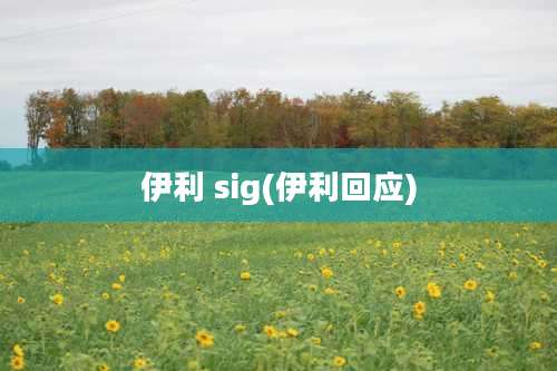 伊利 sig(伊利回应)