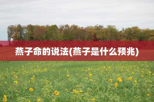 燕子命的说法(燕子是什么预兆)