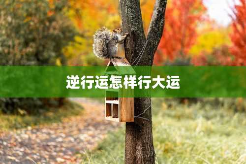 逆行运怎样行大运