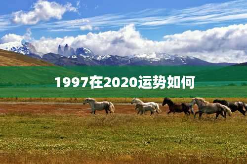 1997在2020运势如何